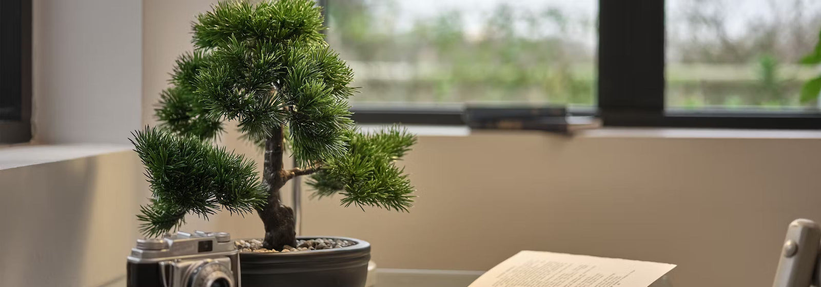 How to achieve the calming nature of Japandi styling