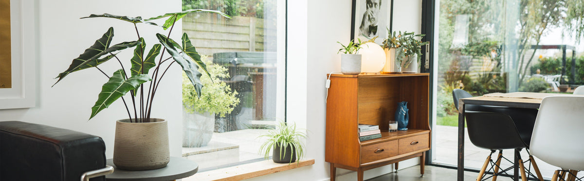 How to choose the perfect pot