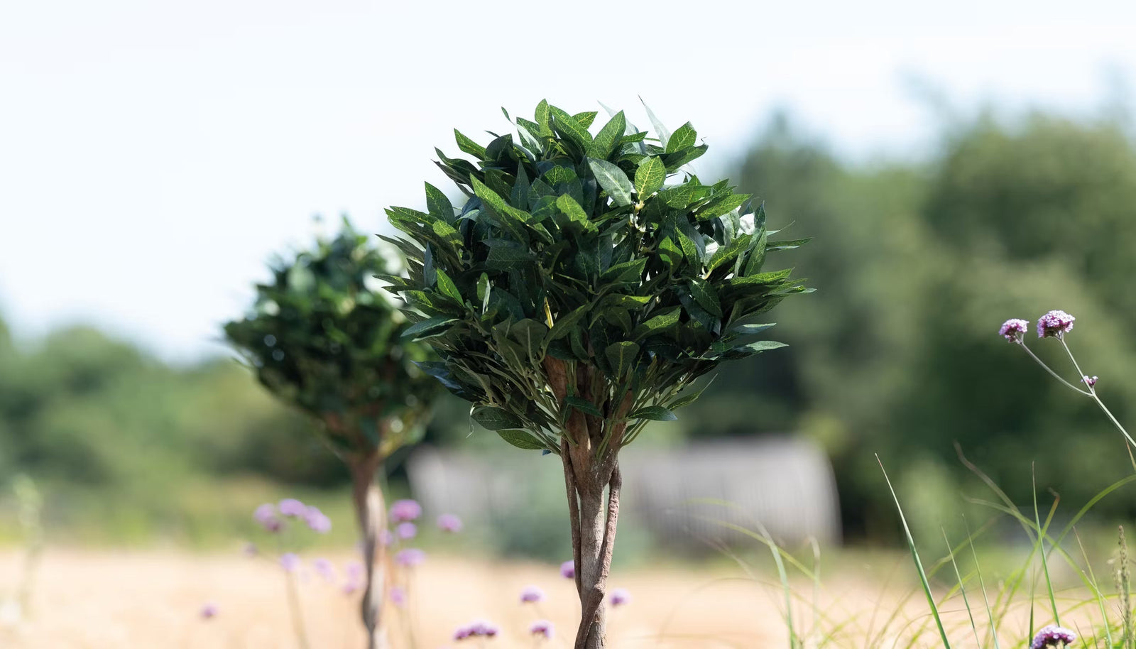 What is UV resistance & why does it matter?