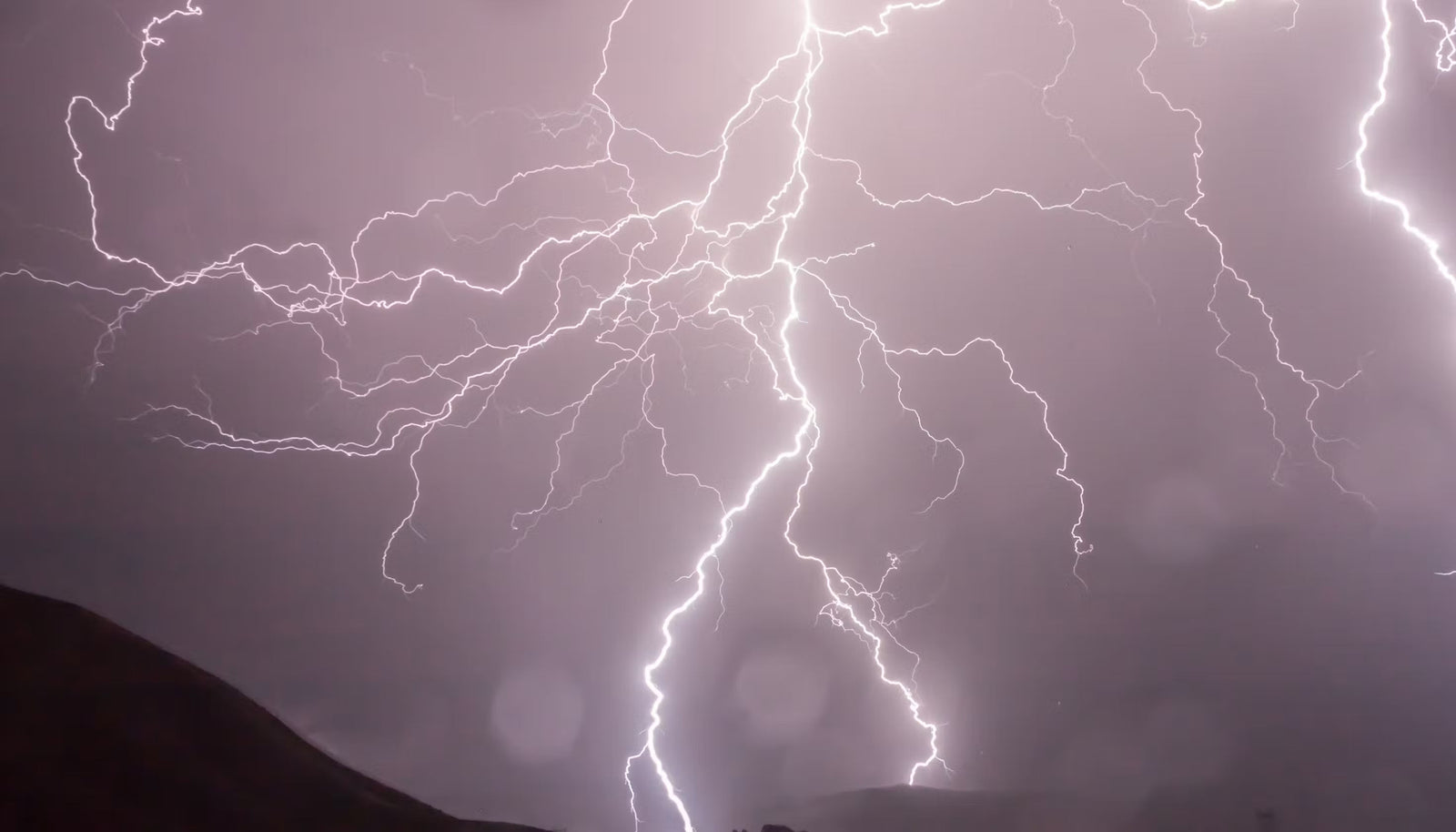 Protecting artificial plants from extreme weather