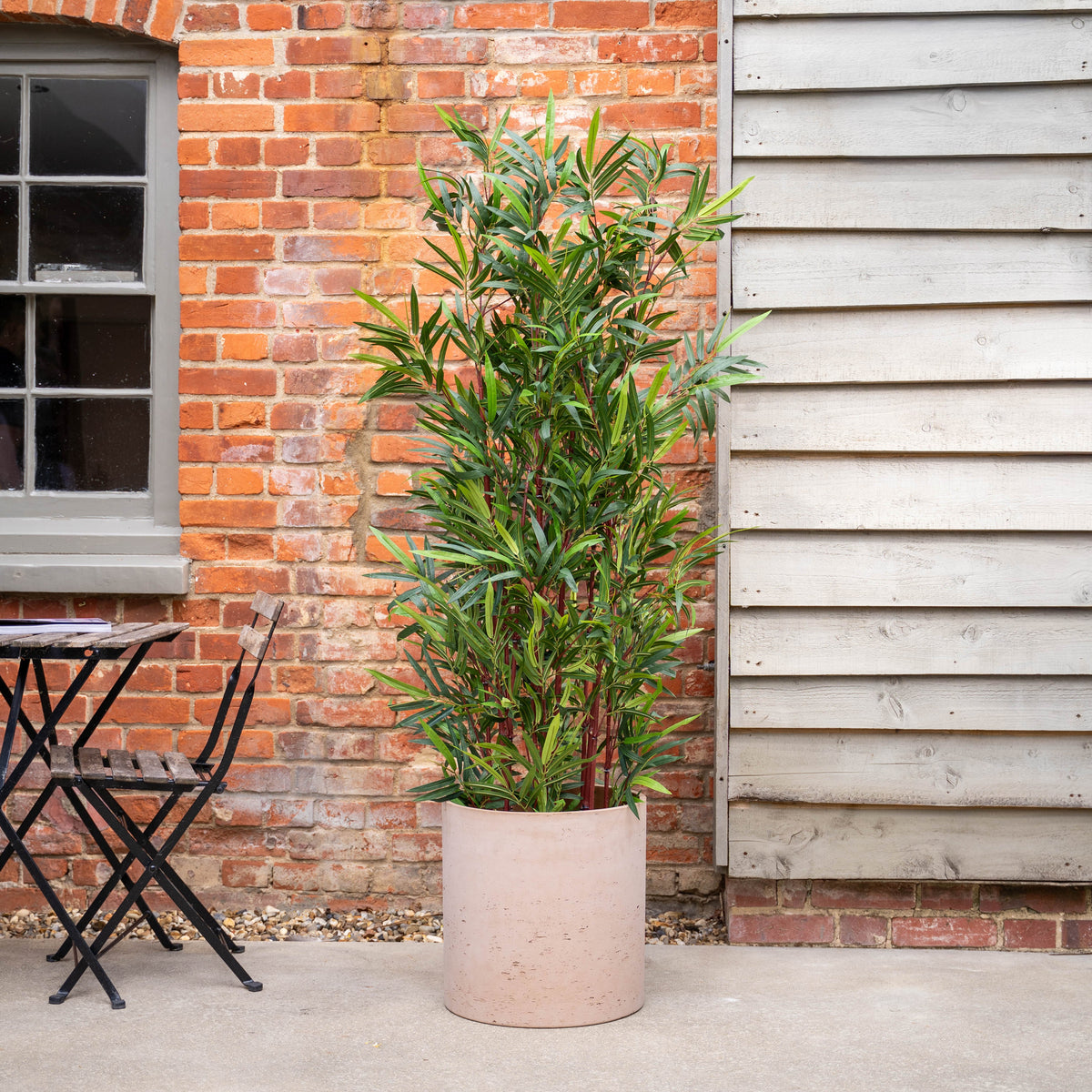 Tall potted bamboo in front of a brick wall next to a garden furniture set.