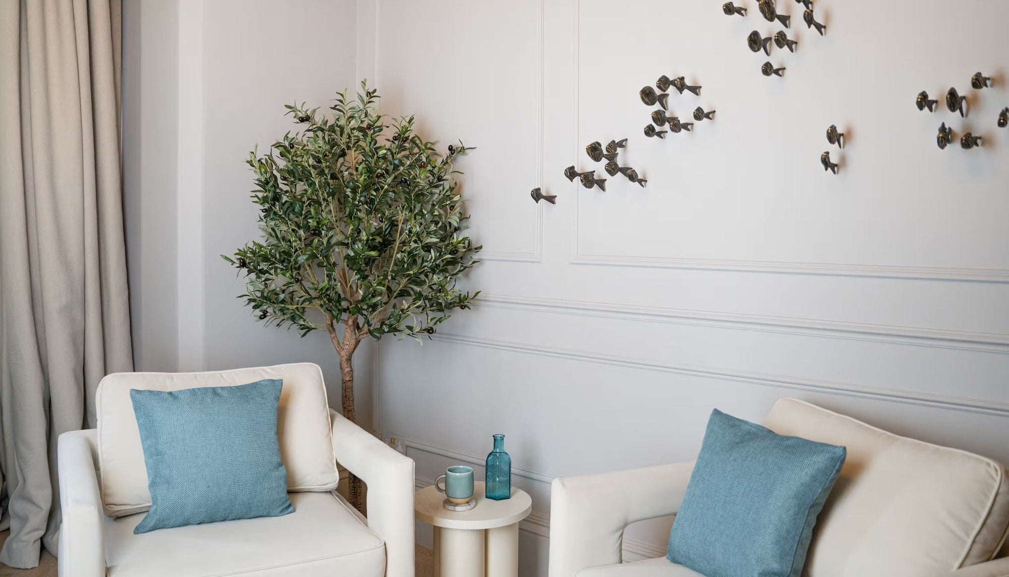 Plants for living rooms