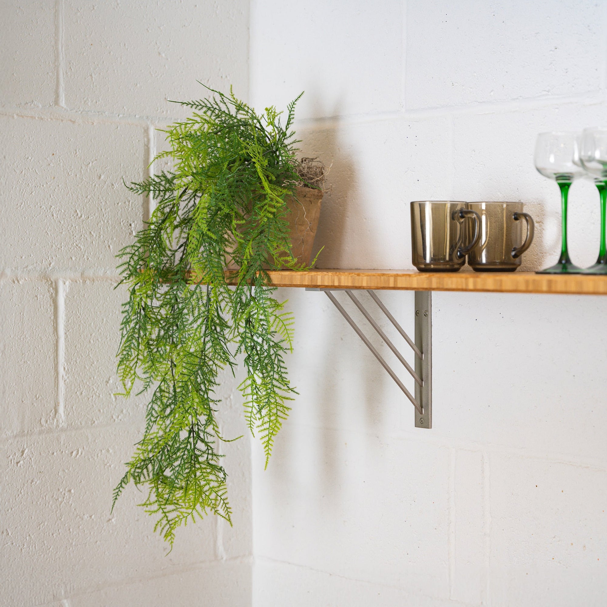 Hanging & trailing plants