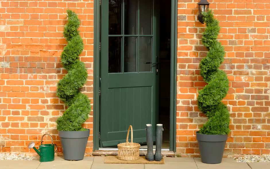 Plants for front doors