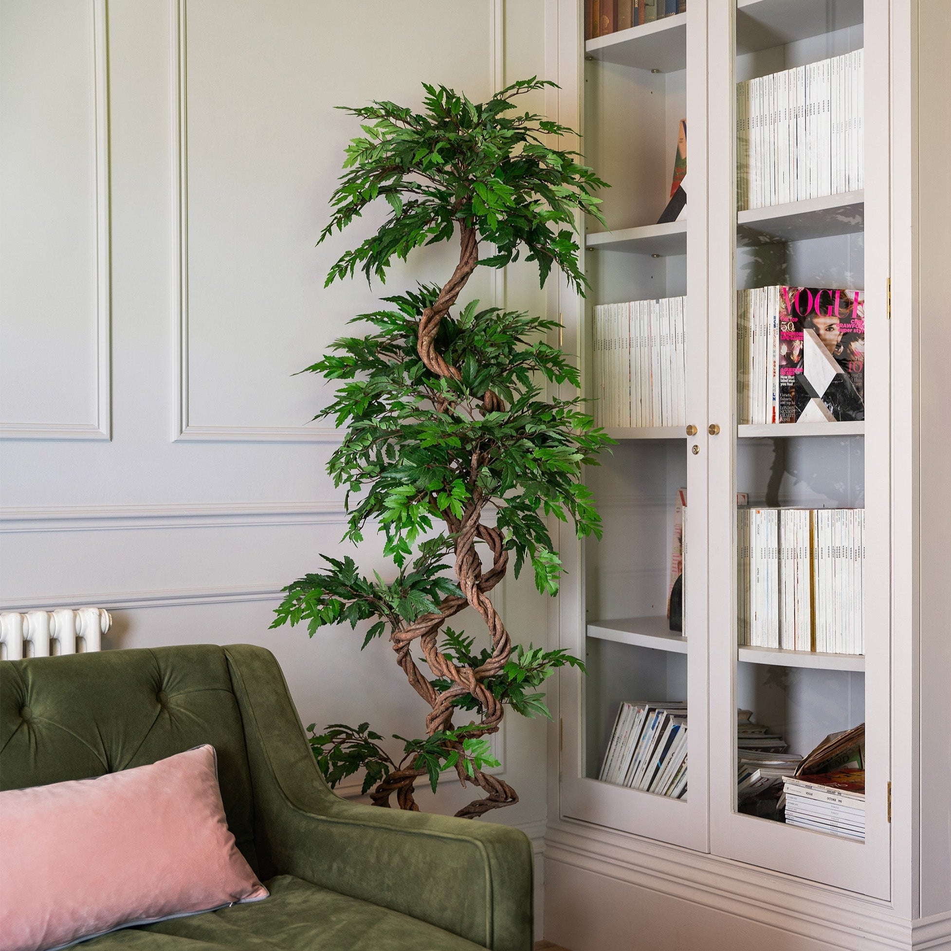 Rare & unusual plants