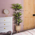 Black stem bamboo