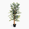 Artificial potted tree with green leaves on a white background