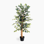 Artificial potted tree with green leaves on a white background