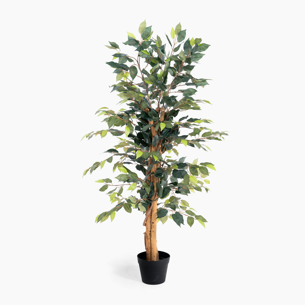 Artificial potted tree with green leaves on a white background