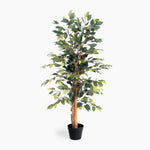 Artificial potted tree with green leaves on a white background
