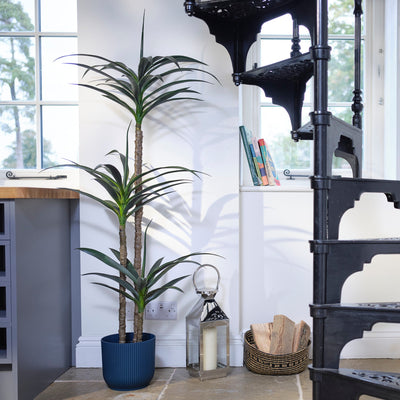 Indoor setting with a plant, candle lantern, and decorative items.