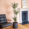 Living room with a black armchair, potted agave tree, and framed picture on a peach wall.