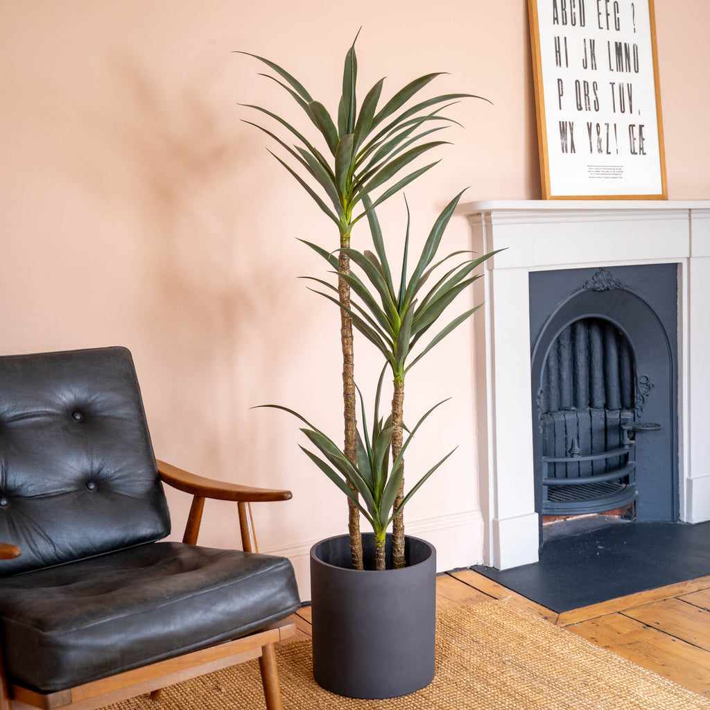 Living room with a black armchair, potted agave tree, and framed picture on a peach wall.