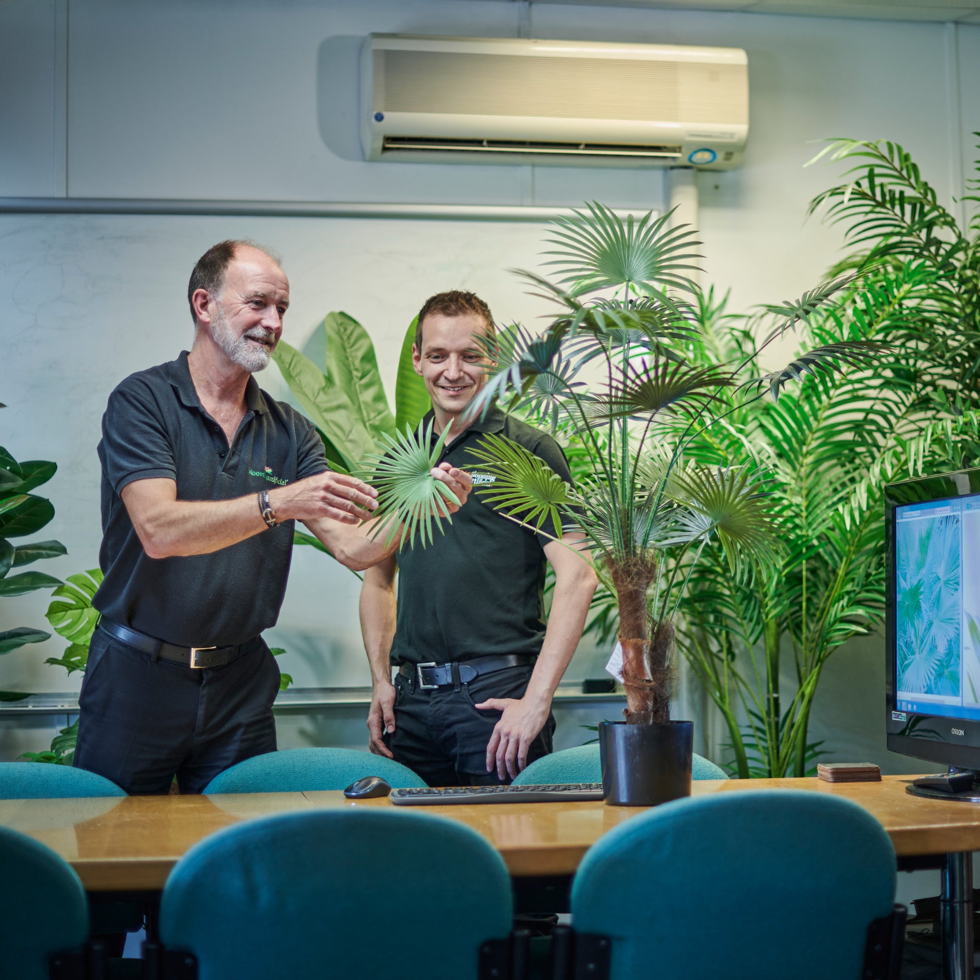 Two men in an office showroom with artificial plants and office furniture.