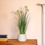 Potted plant on a wooden chest with a fireplace in the background