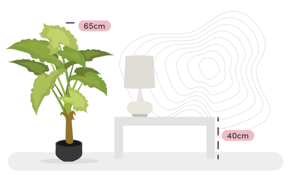 Illustration of a plant and a lamp with measurements on a white background