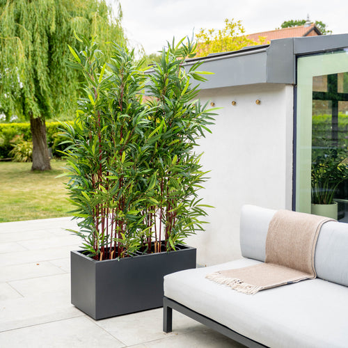 Outdoor setting with two large potted bamboo plants and a sofa in a garden.