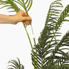 Tropical palm (faulty)