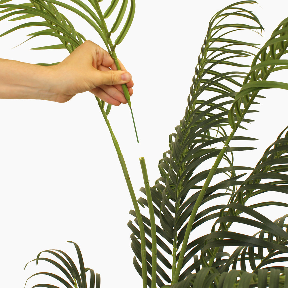 Tropical palm (faulty)