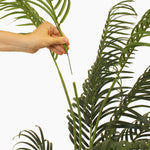 Tropical palm (faulty)