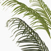 Tropical palm (faulty)