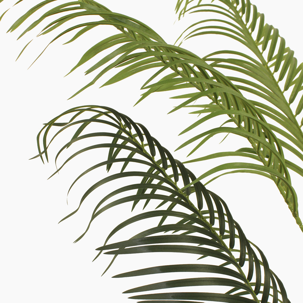 Tropical palm (faulty)