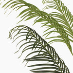 Tropical palm (faulty)