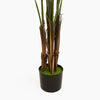 Tropical palm (faulty)