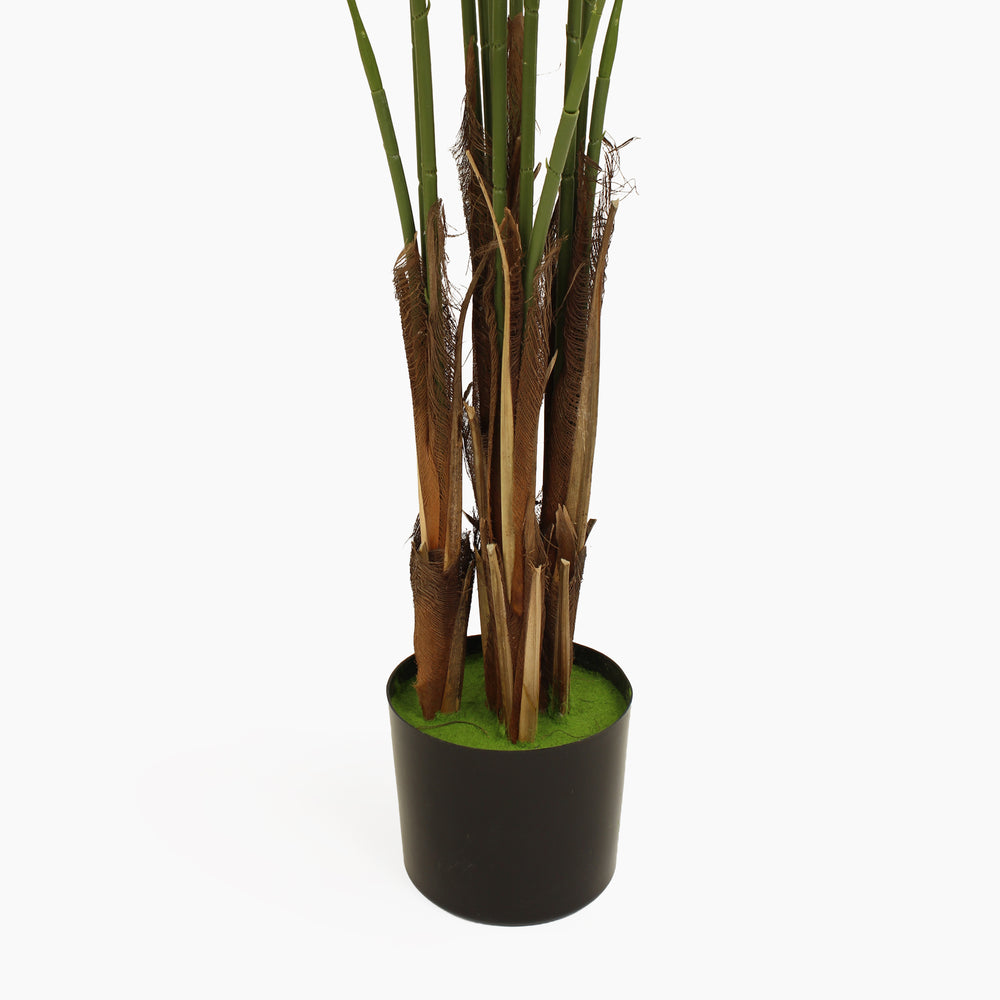 Tropical palm (faulty)
