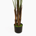Tropical palm (faulty)