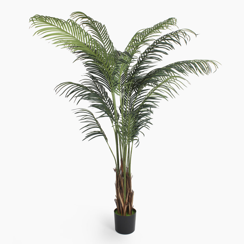 Potted artificial palm plant on a white background