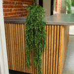 A green trailing houseplant with dense leafy foliage draped over a modern wooden slat counter in an indoor setting with a brick wall and shelving in the background.