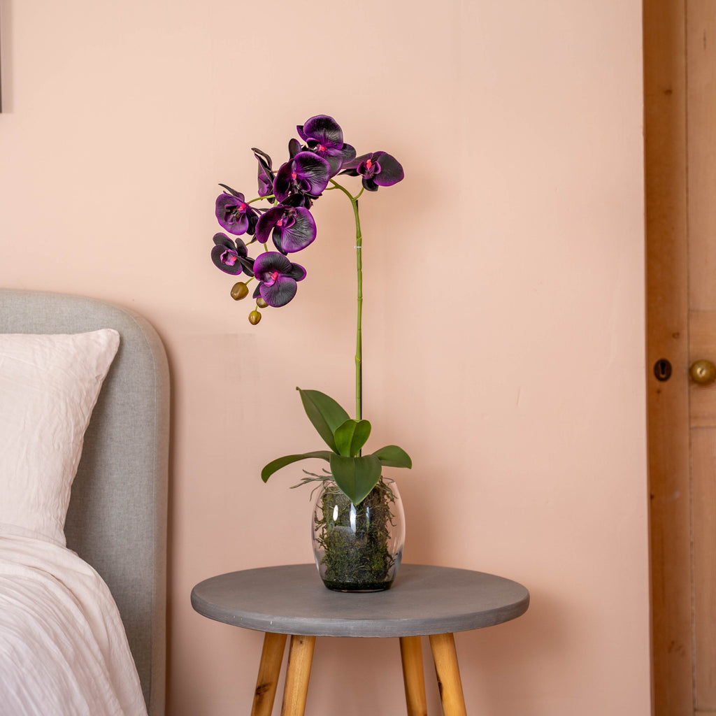 Purple orchid in a glass vase on a small round table against a pink wall.