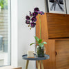 Glass vase with purple orchids on a small round table next to a wooden cabinet.