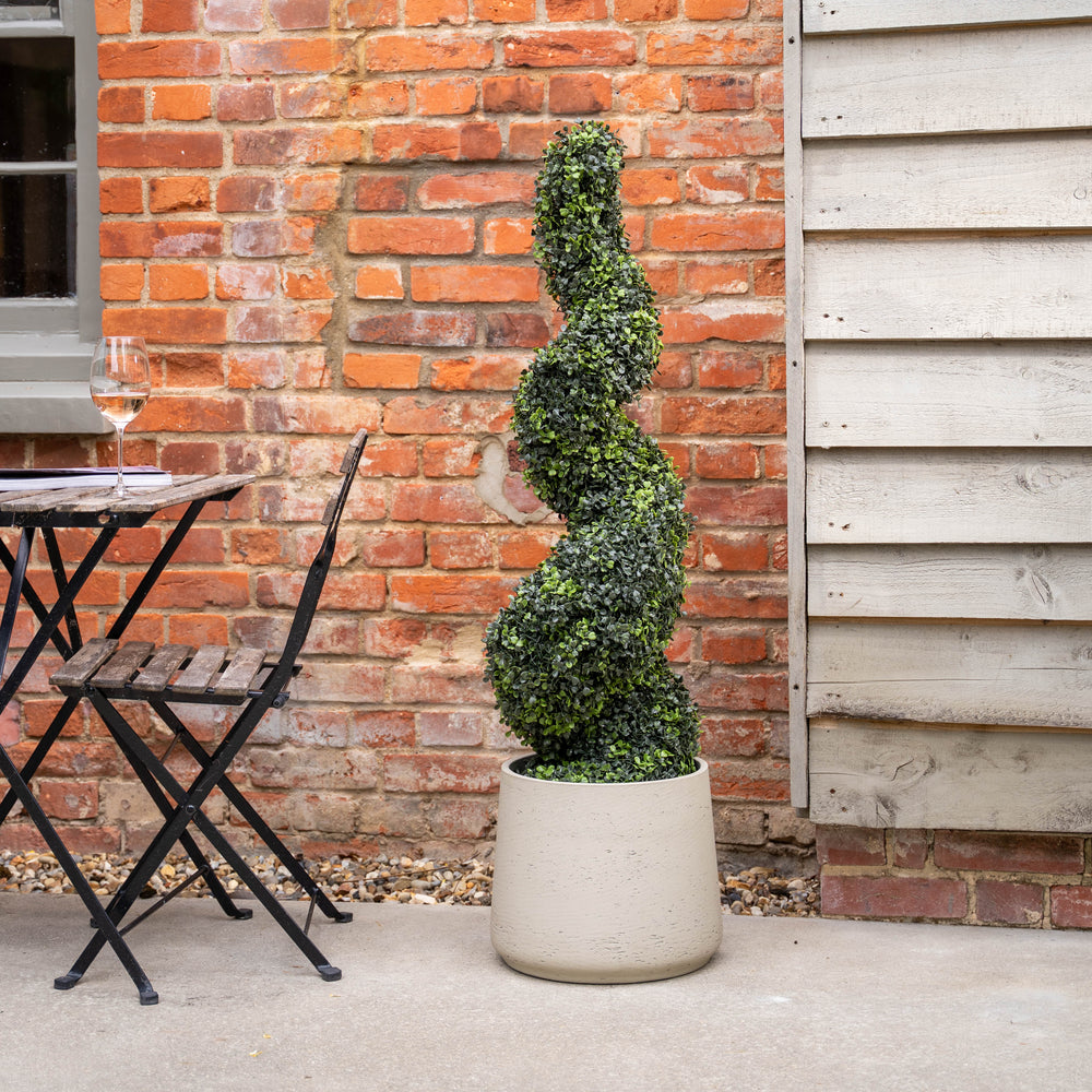 Spiral topiary in a pot against a brick wall