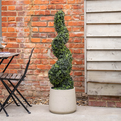 Spiral topiary in a pot against a brick wall