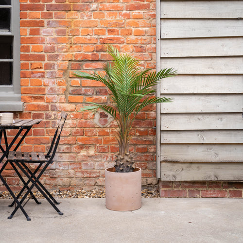 Potted palm next to a brick wall and garden furniture set.