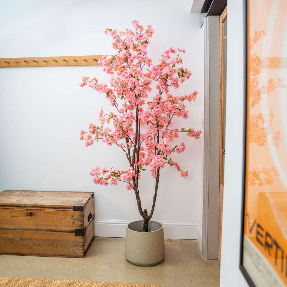 Pink artificial cherry blossom tree in a pot next to a wooden chest against a white wall.