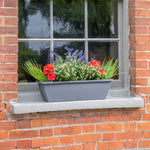 Window box with red, purple and yellow flowers with some grass greenery on a brick wall