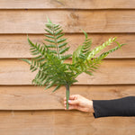 A green artificial fern branch on a planting spike held by a hand against a brown wooden plank wall background.