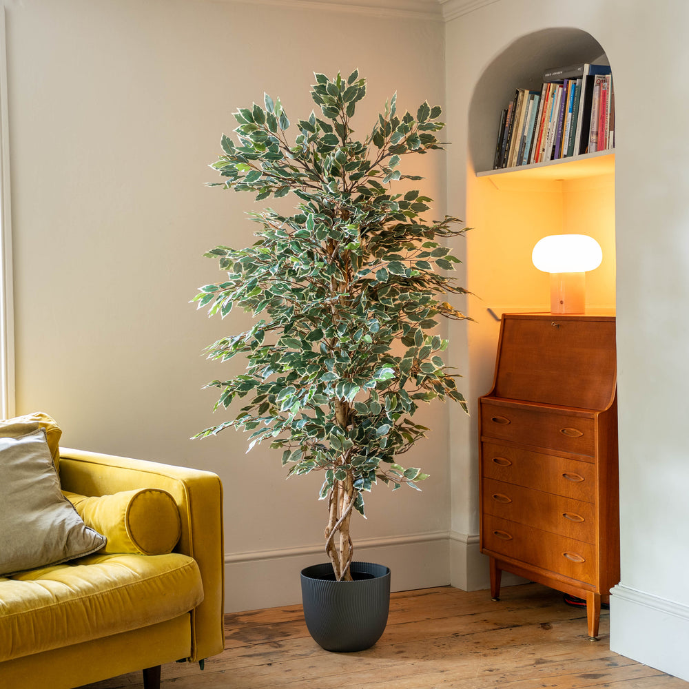 A tall, leafy potted artificial tree with variegated green and cream leaves stands in a dark gray pot in a cozy living room corner next to a yellow sofa and a mid-century modern wooden cabinet.