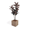 An artificial potted plant with dark reddish-brown glossy leaves in a square beige concrete-style planter topped with bark, shown on a clean white background.