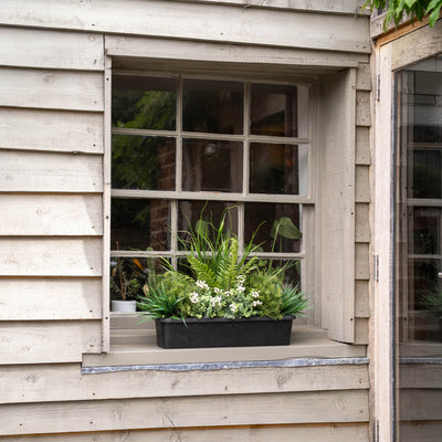 Window box full of green plants on a wooden windowsill. 