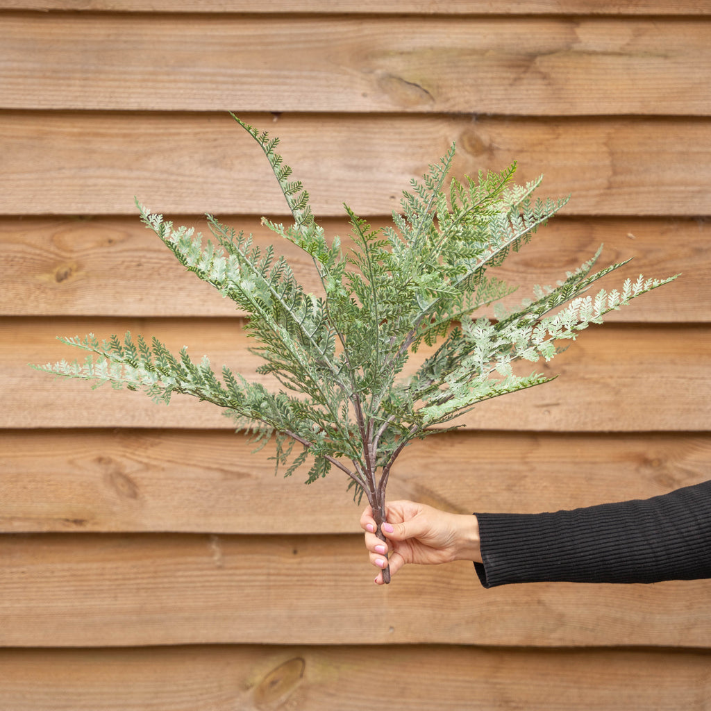 A hand holding a green fern sprig by it's planting spike against a wooden plank wall background.