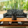 A potted ornamental grass with long, wispy dark gray-green blades, displayed on a wooden coffee table in a modern living room setting with a black leather sofa and large windows in the background.