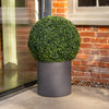 A spherical green topiary bush in a matte dark gray cylindrical planter, set against a brick wall and glass door.