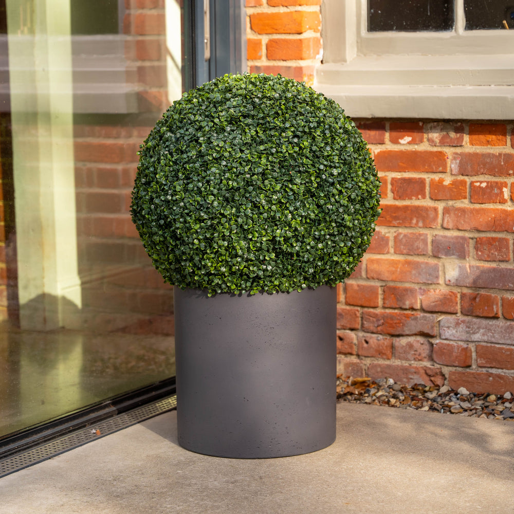 A spherical green topiary bush in a matte dark gray cylindrical planter, set against a brick wall and glass door.