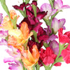 A close up of a bouquet of artificial gladiolus flowers in multiple vibrant colors including orange, pink and purple, with green stems on a plain white background.