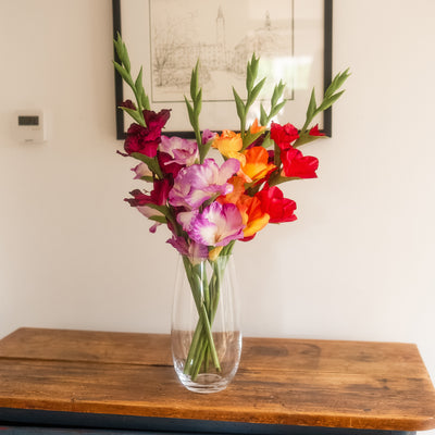 A vibrant bouquet of gladiolus flowers in a clear glass vase, displayed on a rustic wooden console table against a white wall with framed wall art.