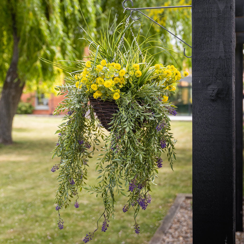Hanging basket with yellow flowers and greenery with purple and green flowers trailing over the edges in a garden setting